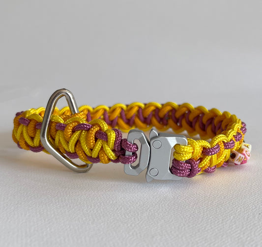 Collar Salomon Chico