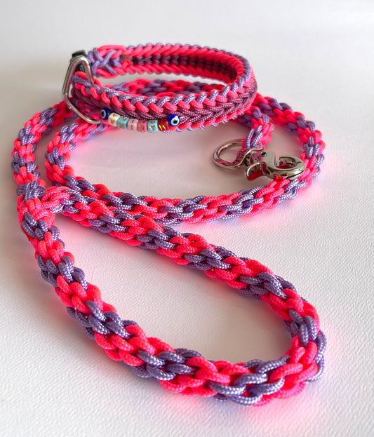 PAQUETE COLLAR Y CORREA TRENZADOS