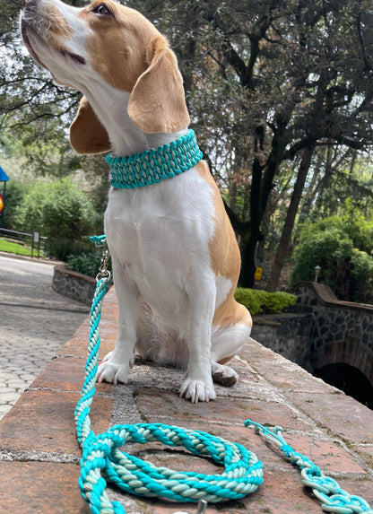 Paquete collar y correa  Manta Ray. MENTA