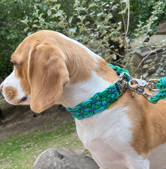 Collar KBK