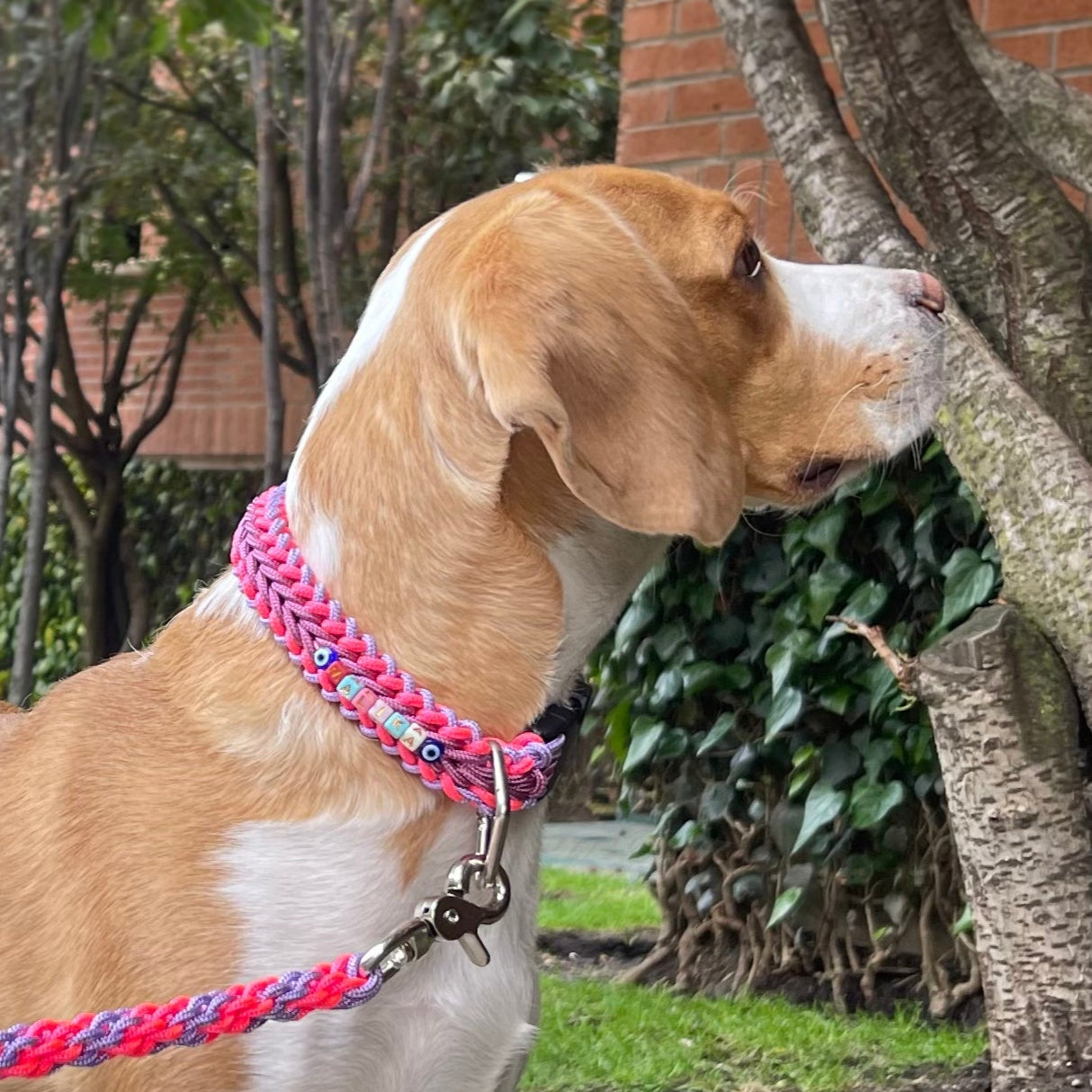 Collar Trenzado