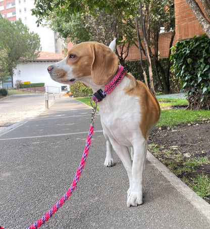 Collar Trenzado